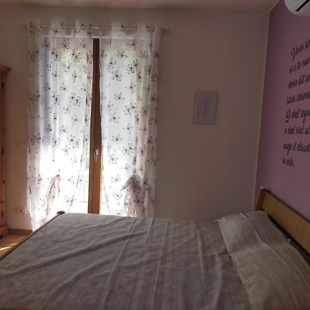 Alloggio E Agriturismo De Poanute 파에디스 외부 사진