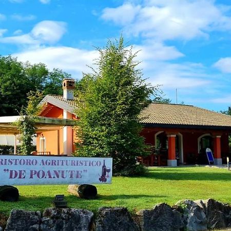 Alloggio E Agriturismo De Poanute 파에디스 외부 사진