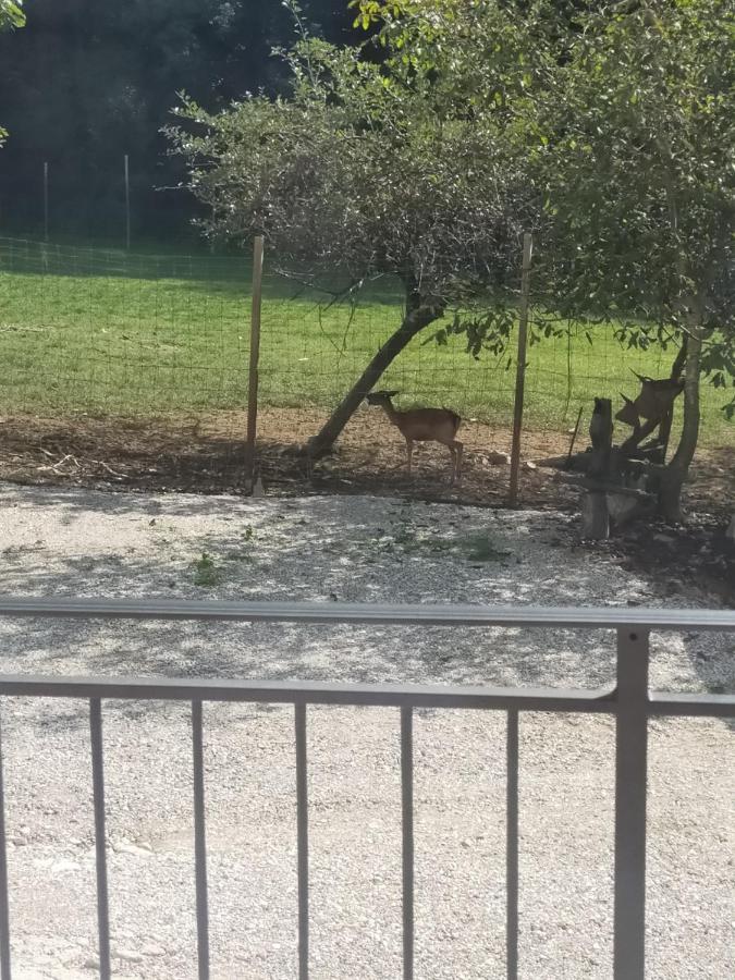 Alloggio E Agriturismo De Poanute 파에디스 외부 사진